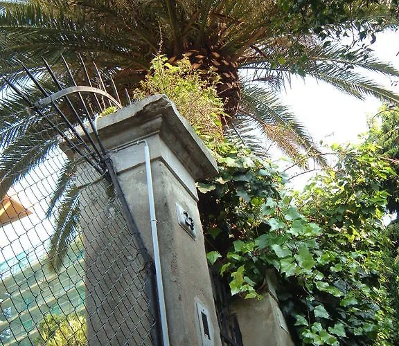 绿洲住宿加早餐旅馆